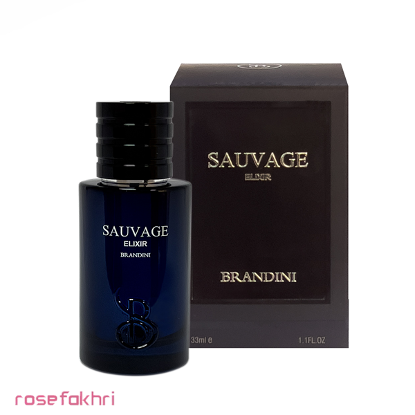 عطر ادکلن - عطر ادکلن دیور ساواج الکسیر برندینی | Sauvage Elixir Brandini